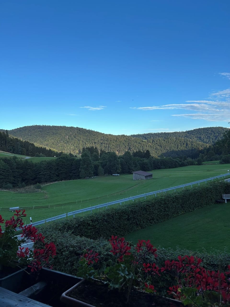 View from property