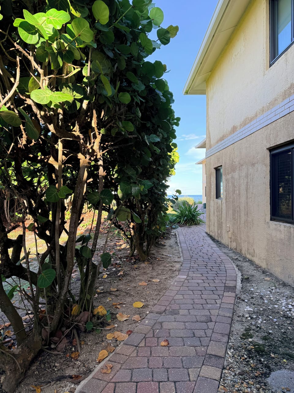 Peaceful path to the back deck and beach