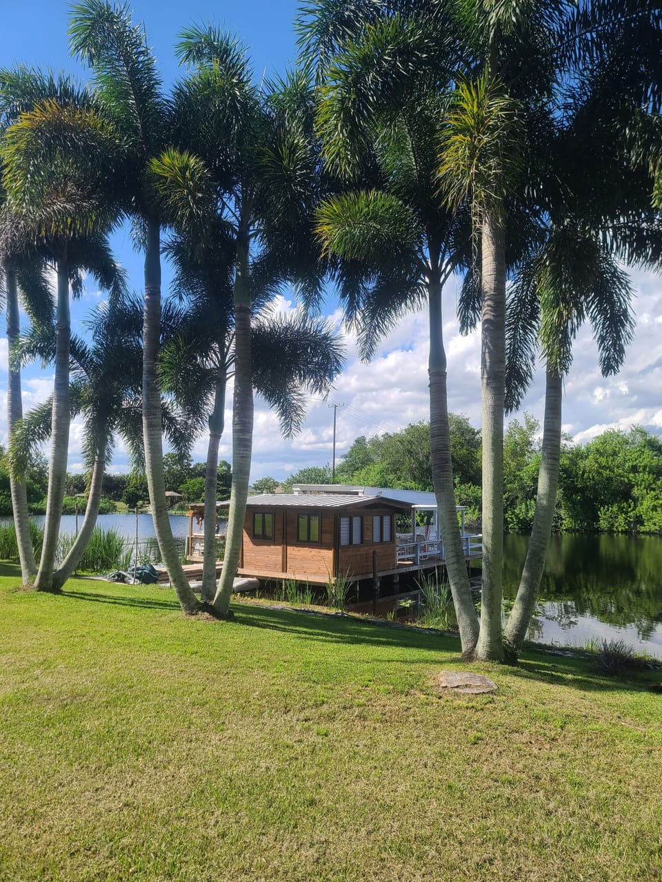 dock house, fox-tail palm trees