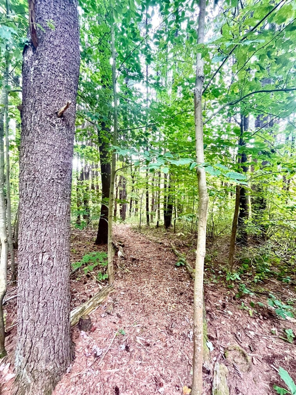 Nature is at your doorstep here 