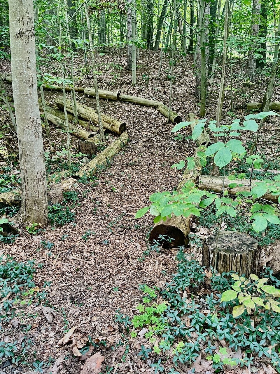 Hiking trails on-site