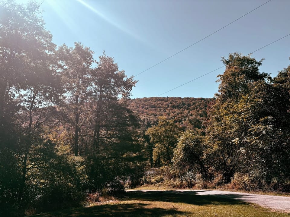 Miscellaneous