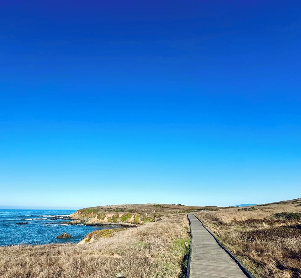 Fall morning at the Fiscalini Ranch Preserve Oceanfront Trail. 