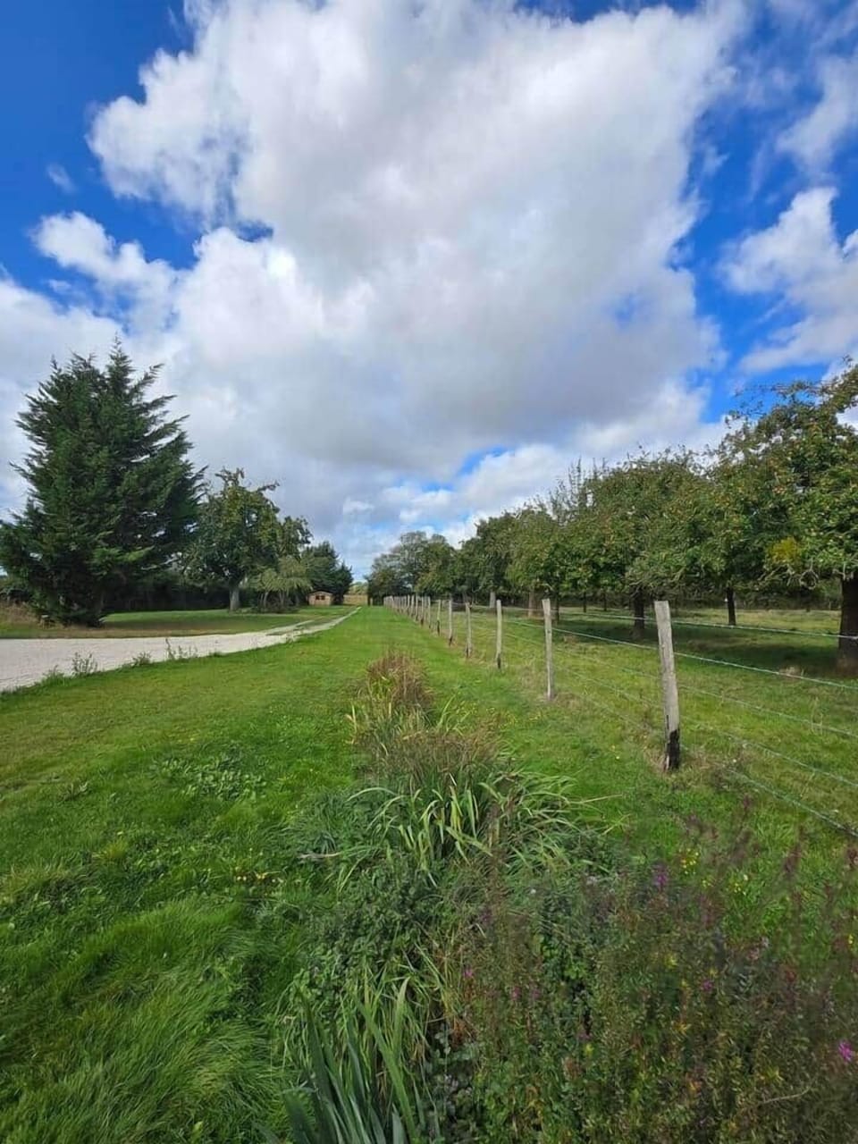 Miscellaneous