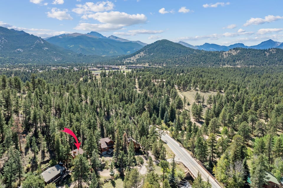 Tree, Fir, Vegetation, Land, Nature