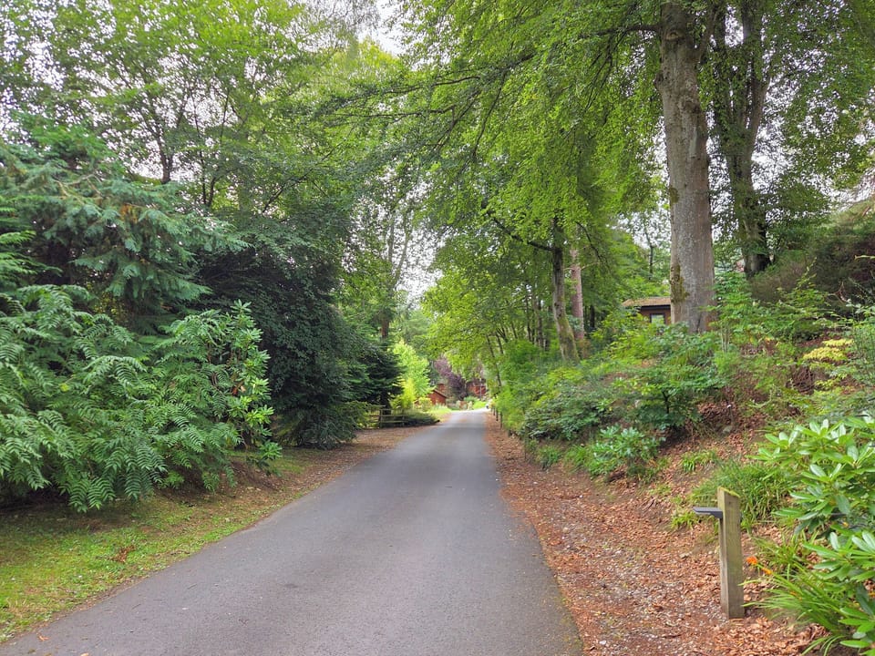 Surrounding area | 1 Sunview Garden, Birnam