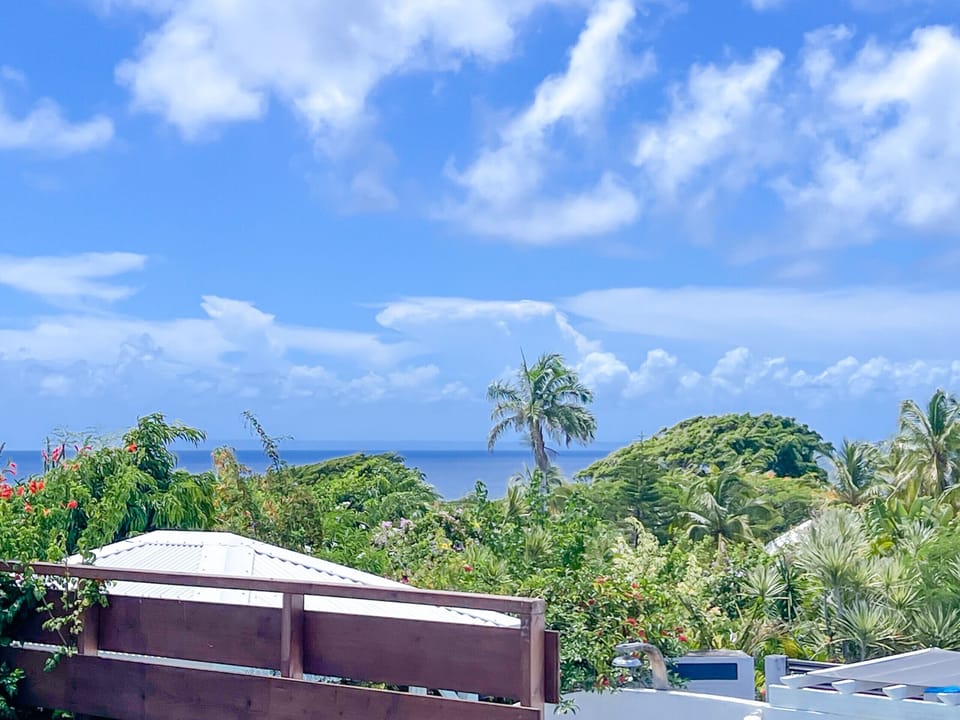 Tropical scenery with palm trees, colorful flowers and sea horizon under a bright blue sky.