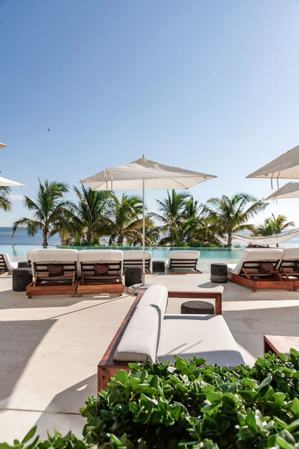 Unwind poolside with ocean breezes and shaded loungers.