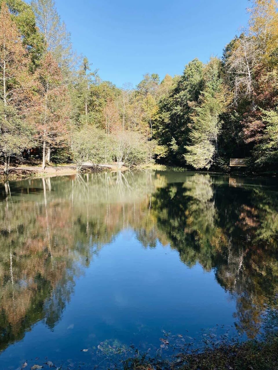 Picture of one of the two small lakes within walking distance! 