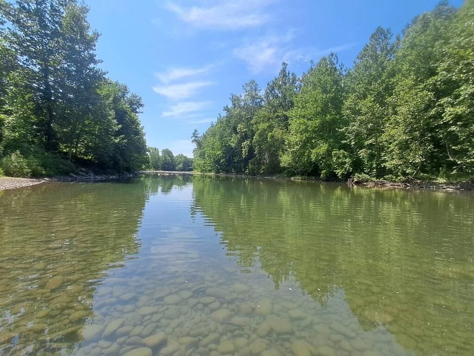 Nearby Schoharie Creek