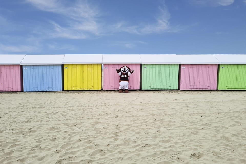 Holiday Park Facilities and Services 