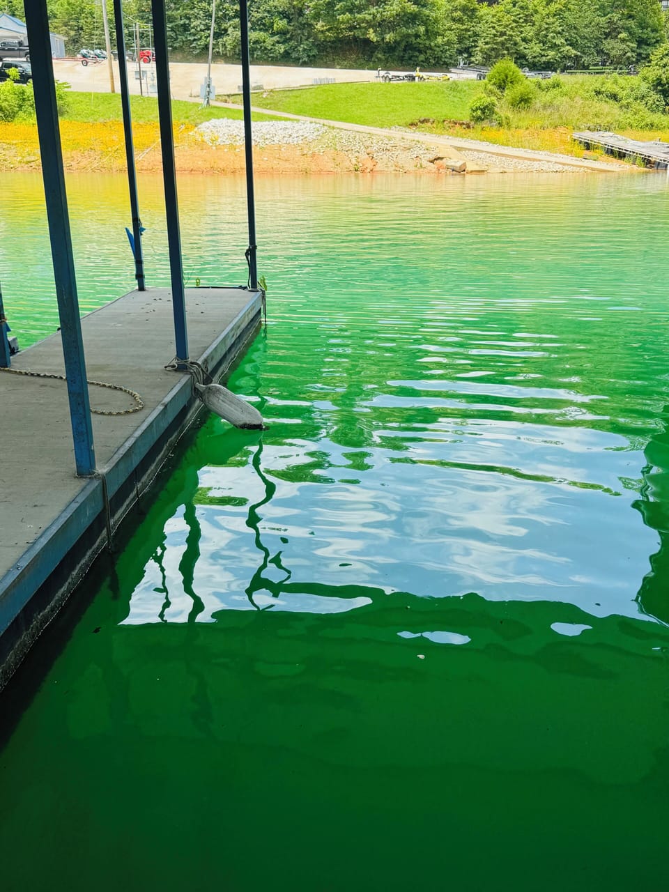 30’ covered boat slip at Sugar Hollow Marina. Directly across from boat ramp.