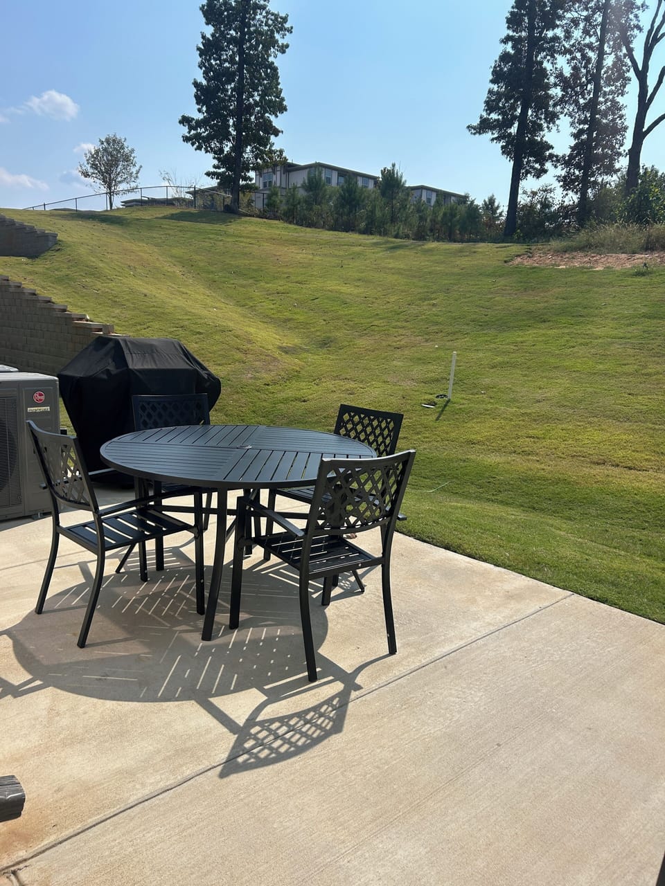 Back Patio Seating and Gas Grill