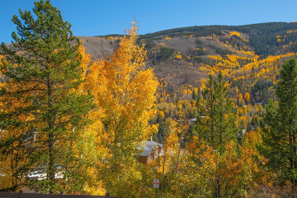1817-Meadow-Rdg-5_26