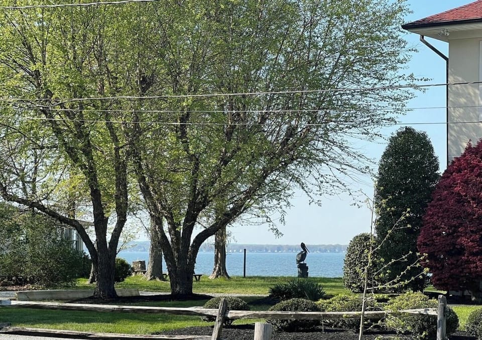 Bay views