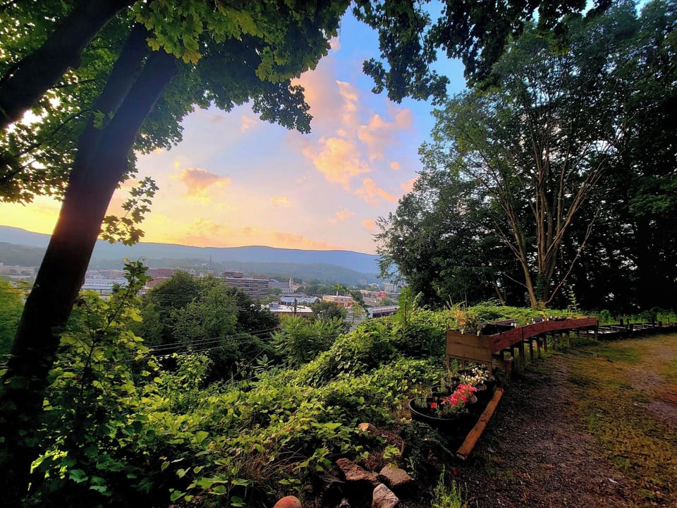 View from property