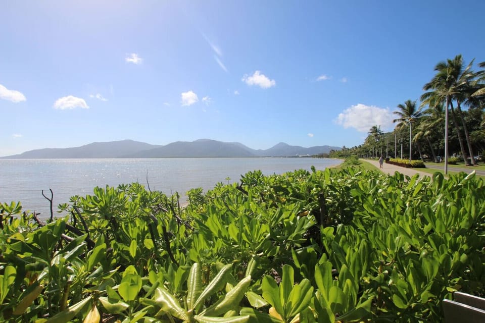 Enjoy a scenic stroll along Cairns Esplanade, where the fresh ocean breeze meets tropical greenery. Perfect for morning jogs or evening walks, this vibrant area features cafes, art installations, and stunning water views, creating a peaceful escape.