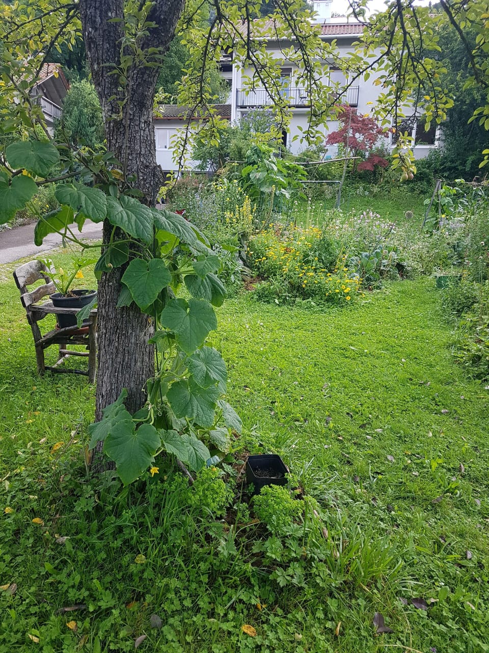 Property grounds