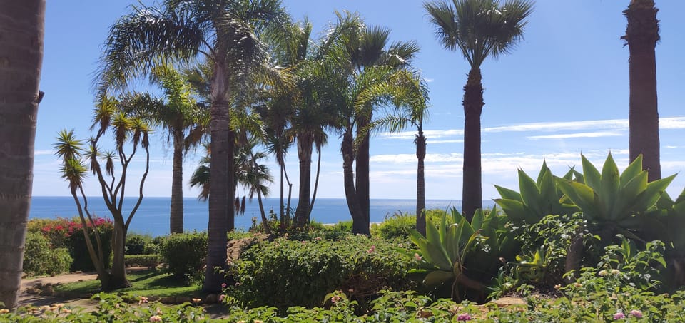 Wander through lush gardens and breathe in ocean views.