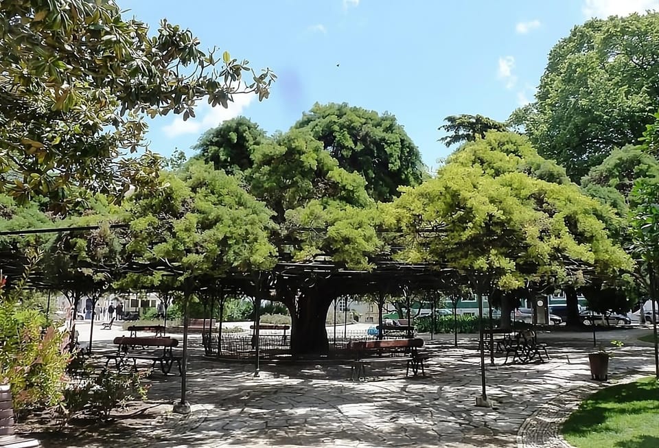 Unwind in leafy calm after a day of exploring.