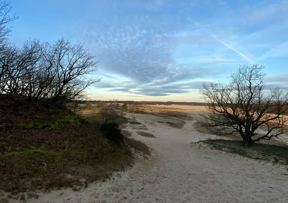 Enjoy walking, cycling, or picnicking in peaceful landscapes just a short drive from Tilburg.