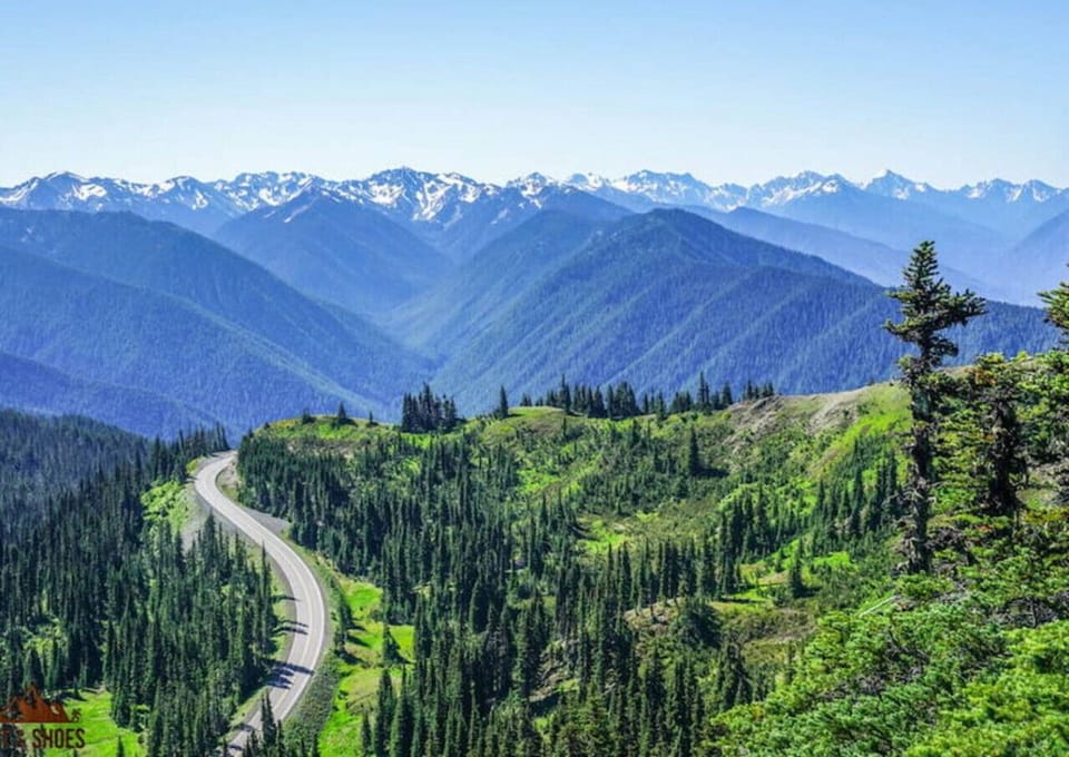 Olympic National Park awaits—snowcapped peaks and endless trails just minutes from your stay.