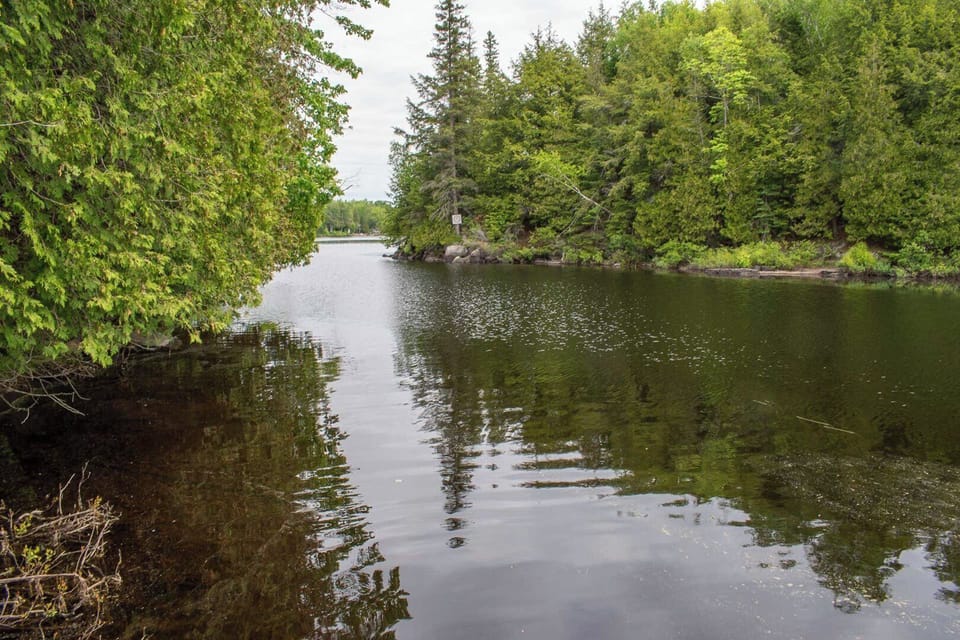 Narrows to Whitestone Lake