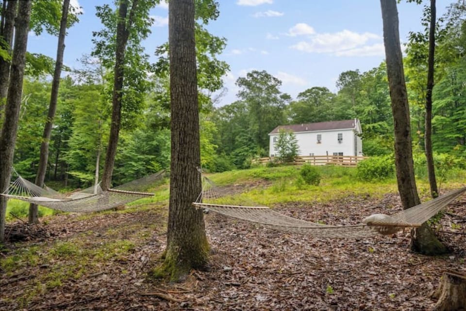 Modern home hidden in lush woods, cozy, quiet, and picture-perfect.