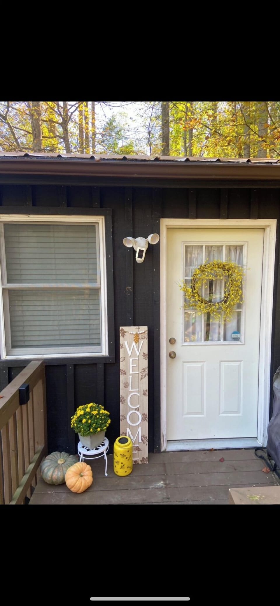 Welcome to The Bear BnBee! 🐻🐝