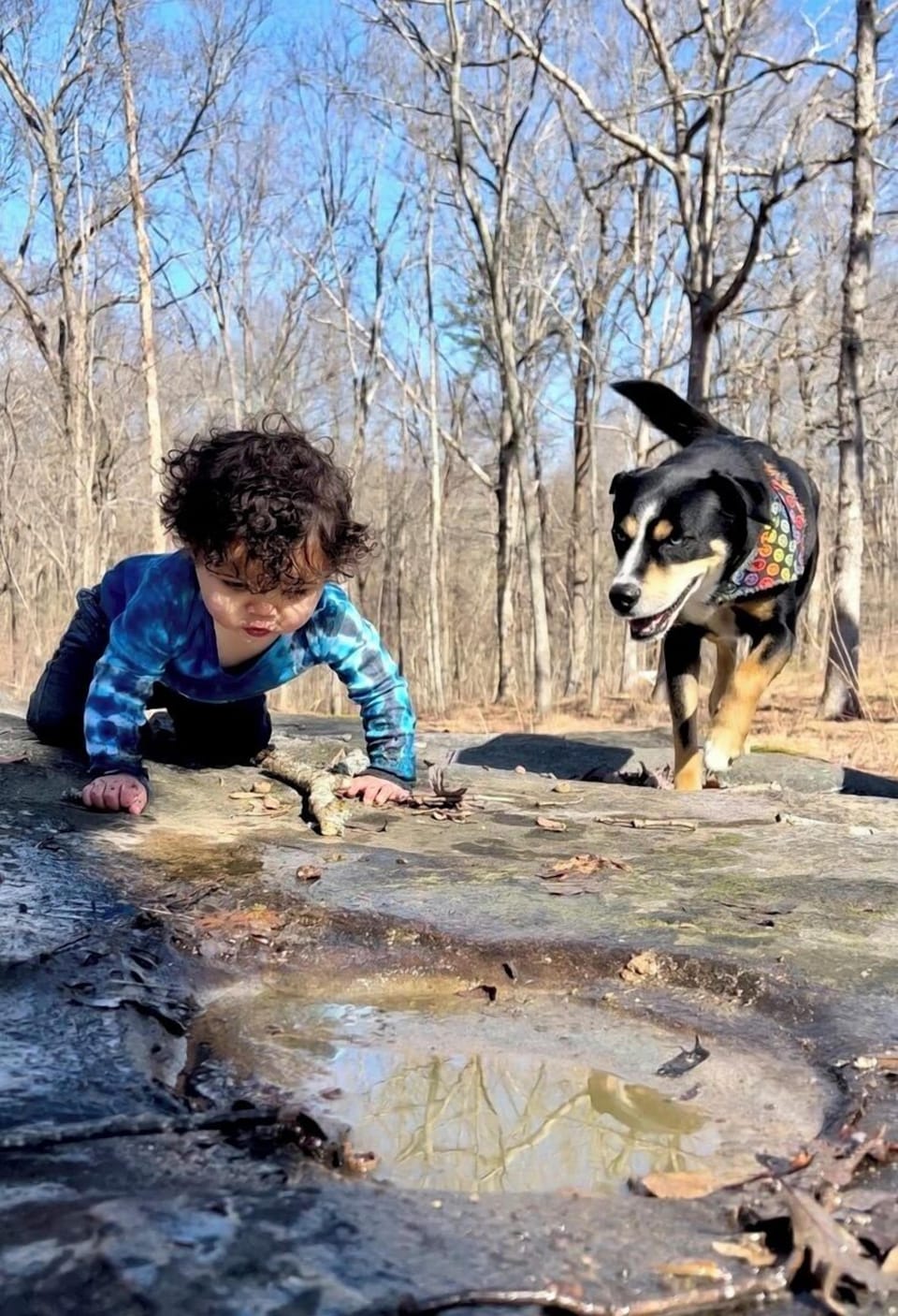 Adventure vibes—kid-friendly outdoor fun right on the property