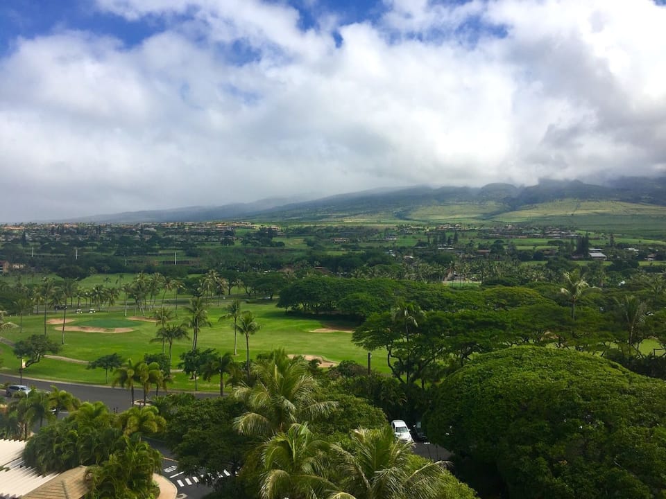 Gorgeous Island view