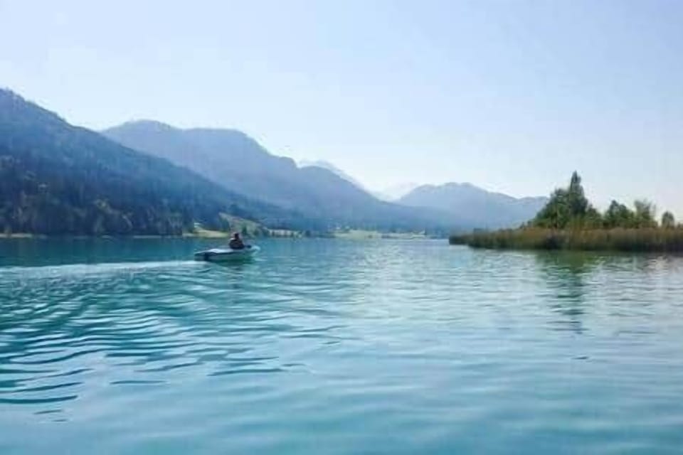 A43e0110 d2cd 4d96 bd8c 7b007a56e61a