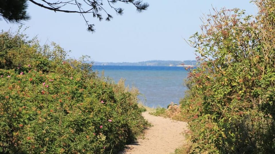 beach