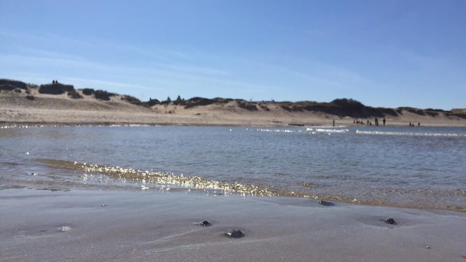 beach