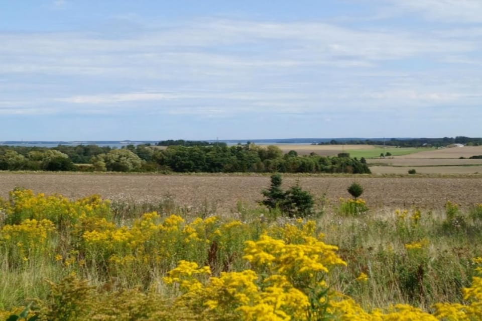 area