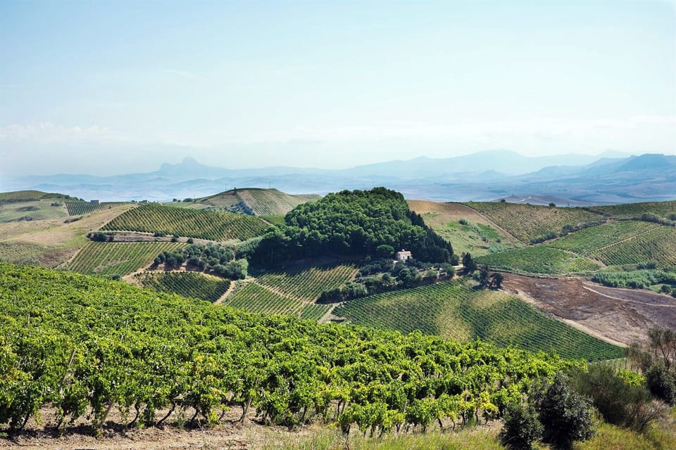 The stunning view over the surrounding countryside.