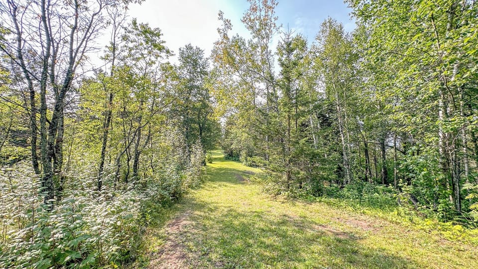 Trail to the lakefront area.