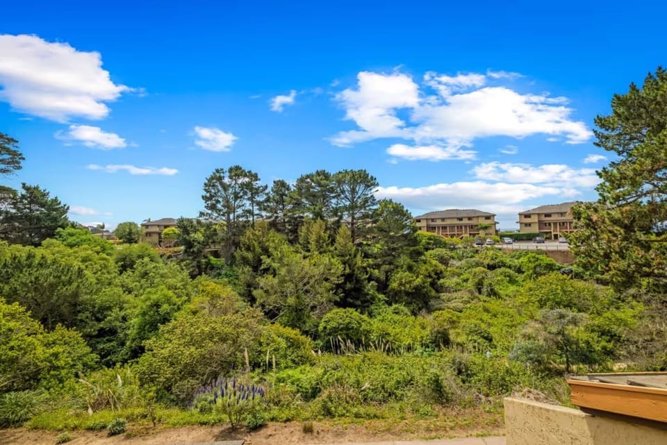 Architecture, Building, Transportation, Boat, Bridge