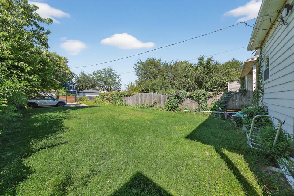 Grass, Lawn, Backyard, Nature, Outdoors