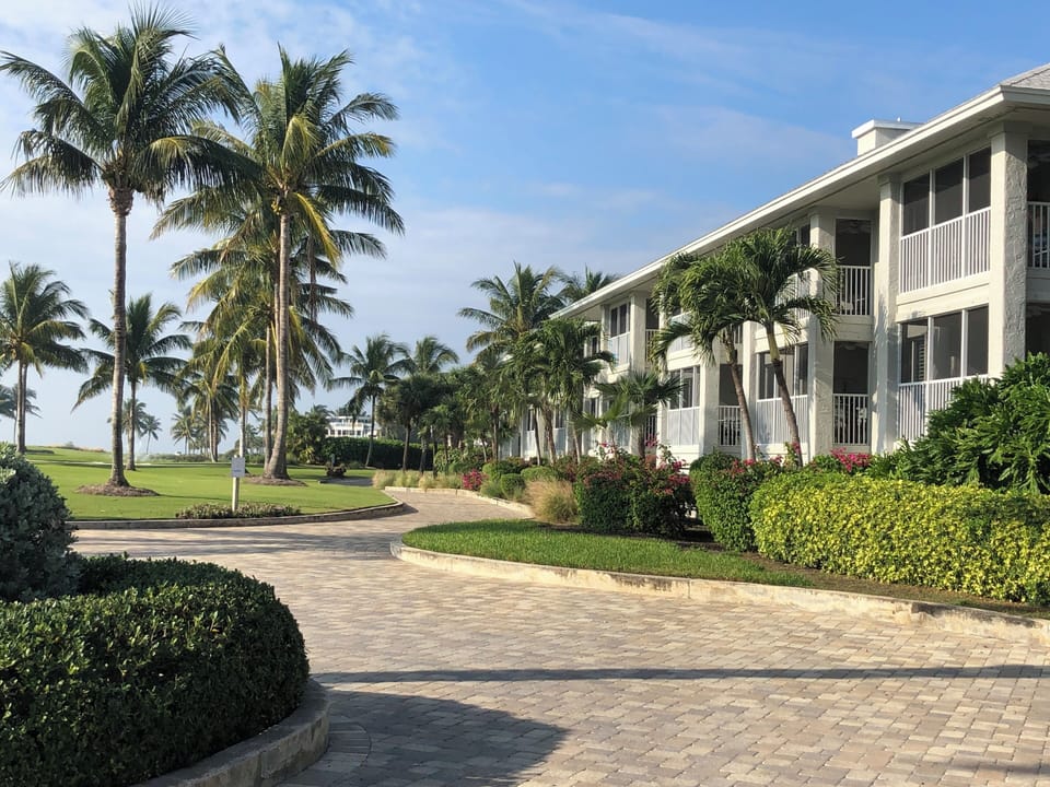 Arrive to manicured paths and breezy, palm-framed buildings.