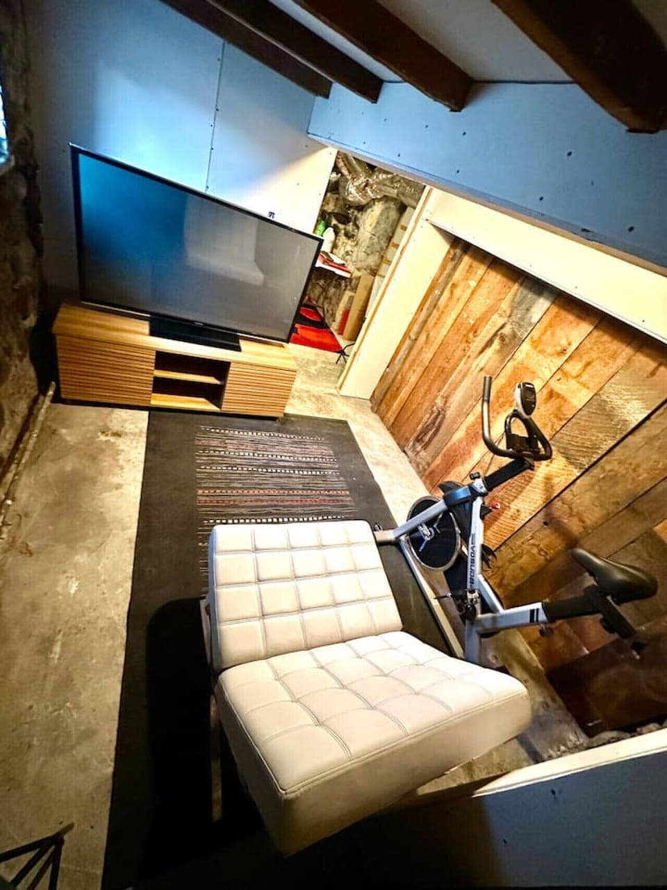 Entertainment/workout room in basement