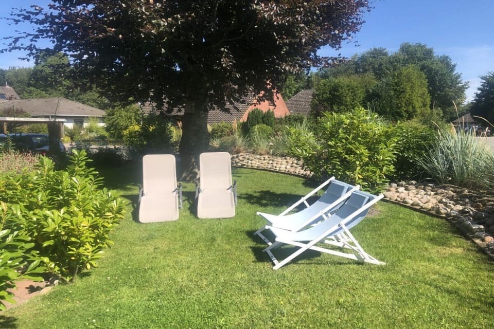 Garden [summer]