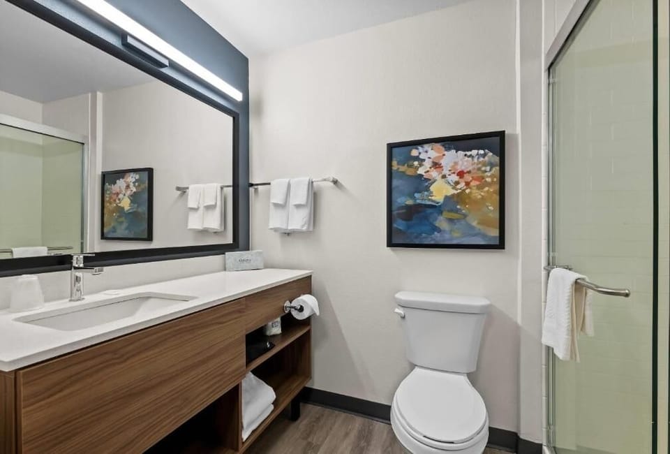 Start your day smoothly with a tidy shower and vanity.