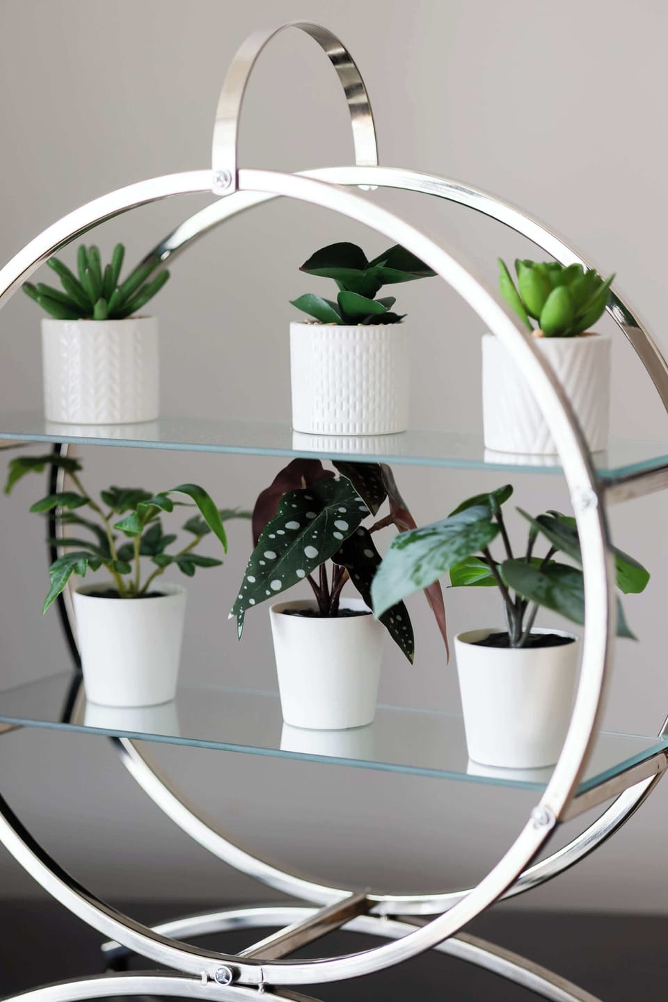A decorative stand featuring small potted plants arranged in a circular frame. A touch of greenery adds charm to the apartment.