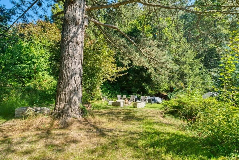 Unser gigantischer Garten mit privatem Waldzugang  