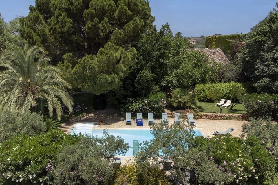 The pool is secluded by leafy vegetation.