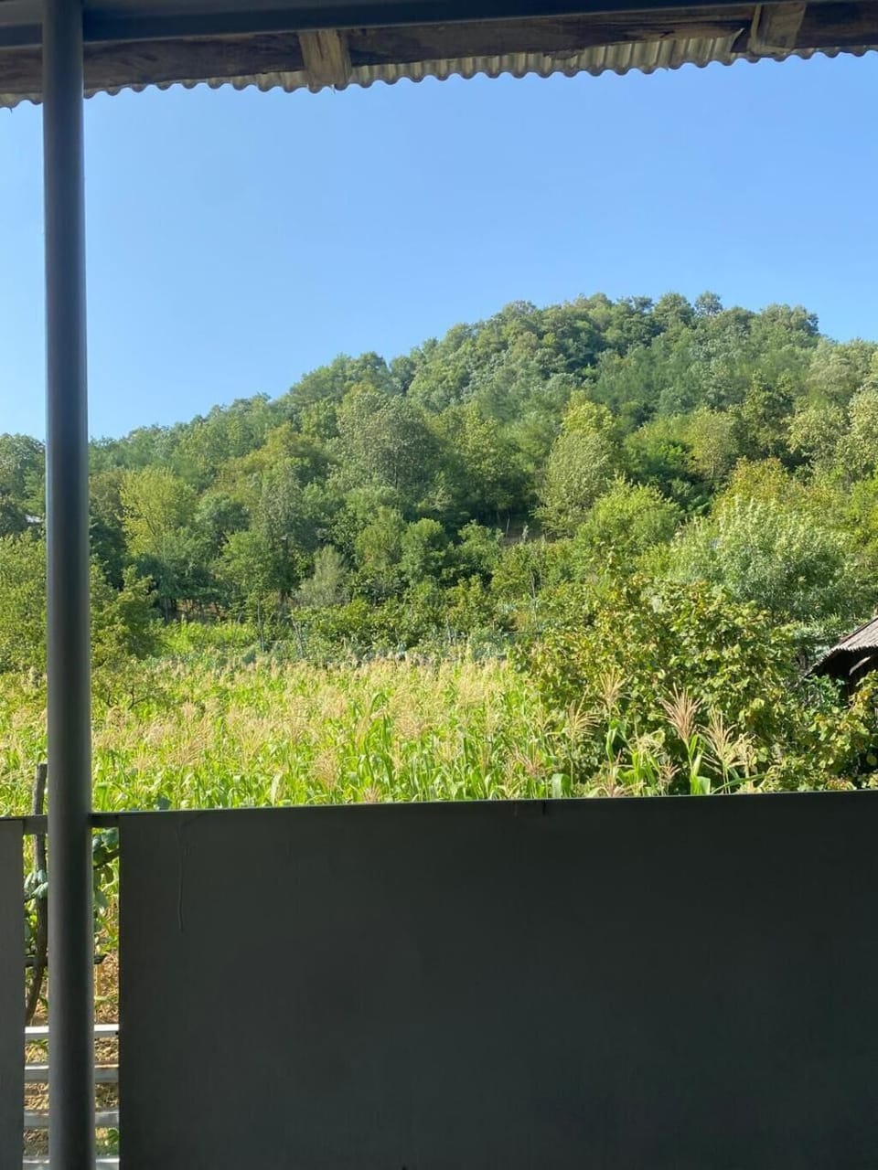 View from property