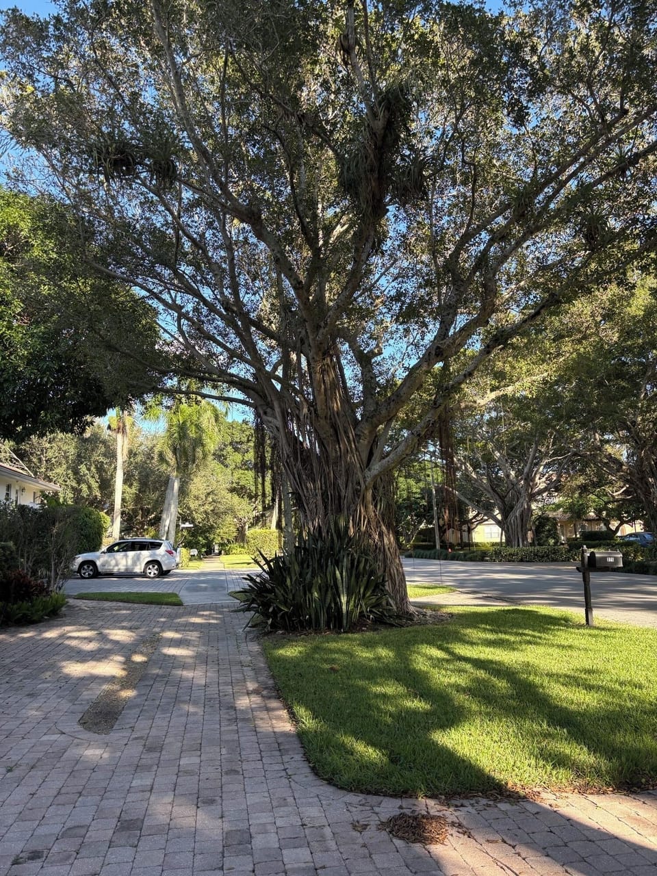 Street view from building