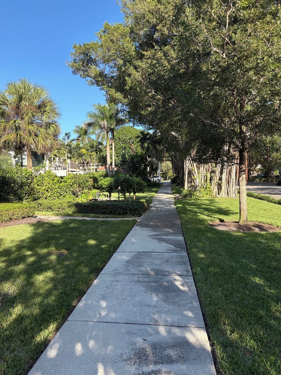 Street view from building