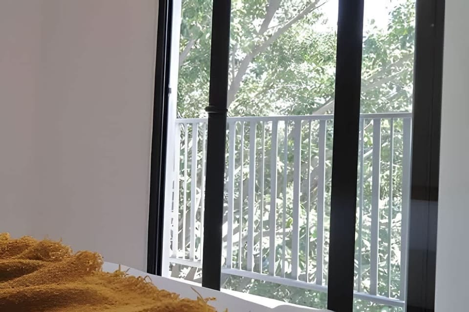 Floor-to-ceiling balcony doors bringing in greenery views & abundant daylight